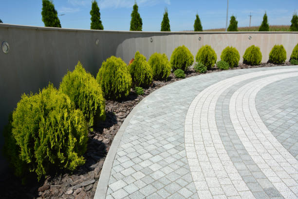 Reasons to Select Us for Your Driveway Paving Requirements in Windom, MN